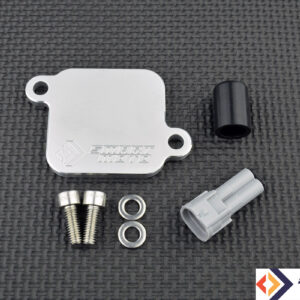 PLE-124 AIS valve removal kit with block off plates